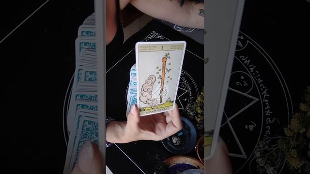 туз жезлов . подробное описание. смотреть онлайн