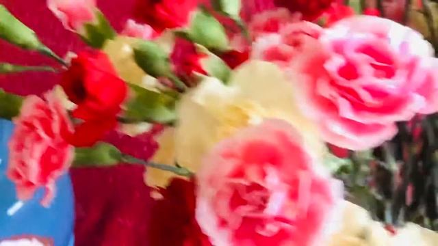 Котики и Гвоздики