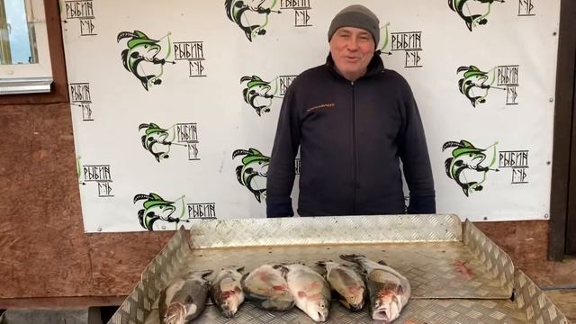 7,9 кг форели - основной водоём