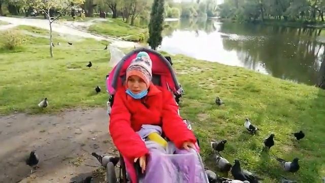 Шум крыльев - самая красивая музыка на свете!!! Особенная девочка хорошо знакома с обитателями реки смотреть онлайн