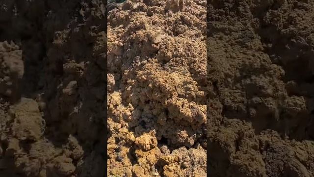 Бурение колодцев в прямом эфире смотреть онлайн