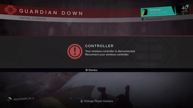 Destiny - Guardian Down 2