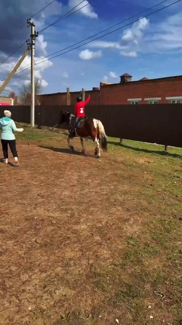 тренировки продолжаются