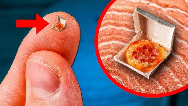 Я СДЕЛАЛ МИКРО ПИЦЦУ ПЕППЕРОНИ ВЕСОМ 0.1Г !!! ВАНЗАЙ vanzai в 4K