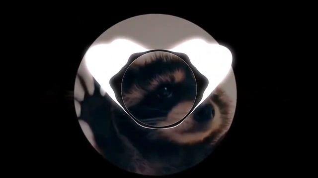 Pedro Pedro Pedro (Remix) Мем с Енотом под песню #музыка