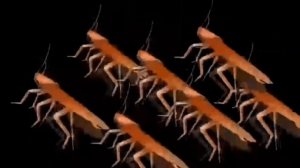 таракан Серёга танцует с своими кентами под песню Татарстан супер гуд