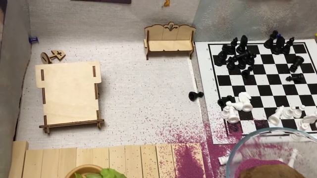 Пончик в музее