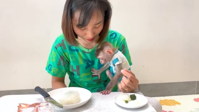 Monkey Puka Was Hungry And Hugged Moon Cake To Find Mom