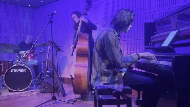 Jazzhouse trio — Blue Velvet