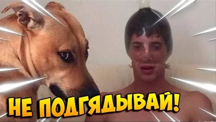 ПОПРОБУЙ НЕ ЗАСМЕЯТЬСЯ, 777% ПРОИГРАЮТ / 300 СЕКУНД СМЕХА | ПОДБОРКА ПРИКОЛОВ / СМЕШНЫЕ ВИДЕО 2025 смотреть онлайн