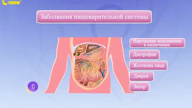 FOHOW Постель смотреть онлайн