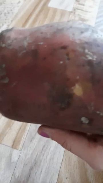 САМАЯ БОЛЬШАЯ КАРТОШКА В МИРЕ🤪🤪 ( Я ЕЁ СКУШАЛ)