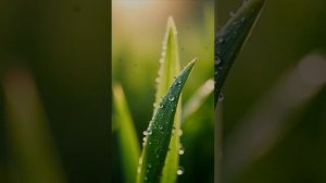 Ты загляни в мои глаза