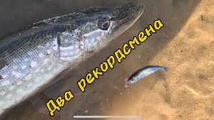 Два рекорда на DAYO PRESTIGE