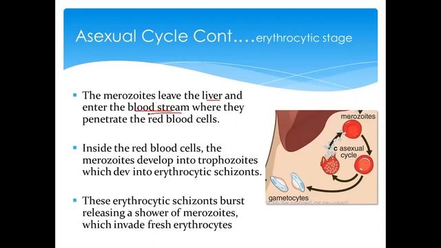 Vector-borne Diseases: Malaria Lecture смотреть онлайн