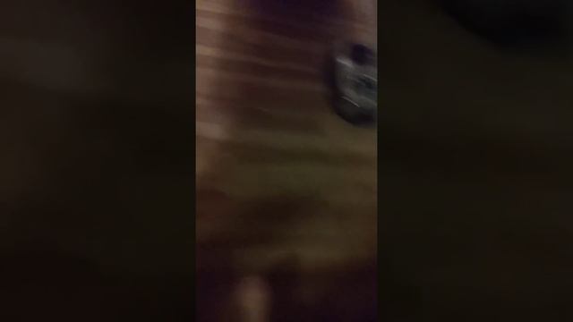 My dog Bentley 🐶🐕😂 смотреть онлайн