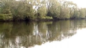 Весенний Дон