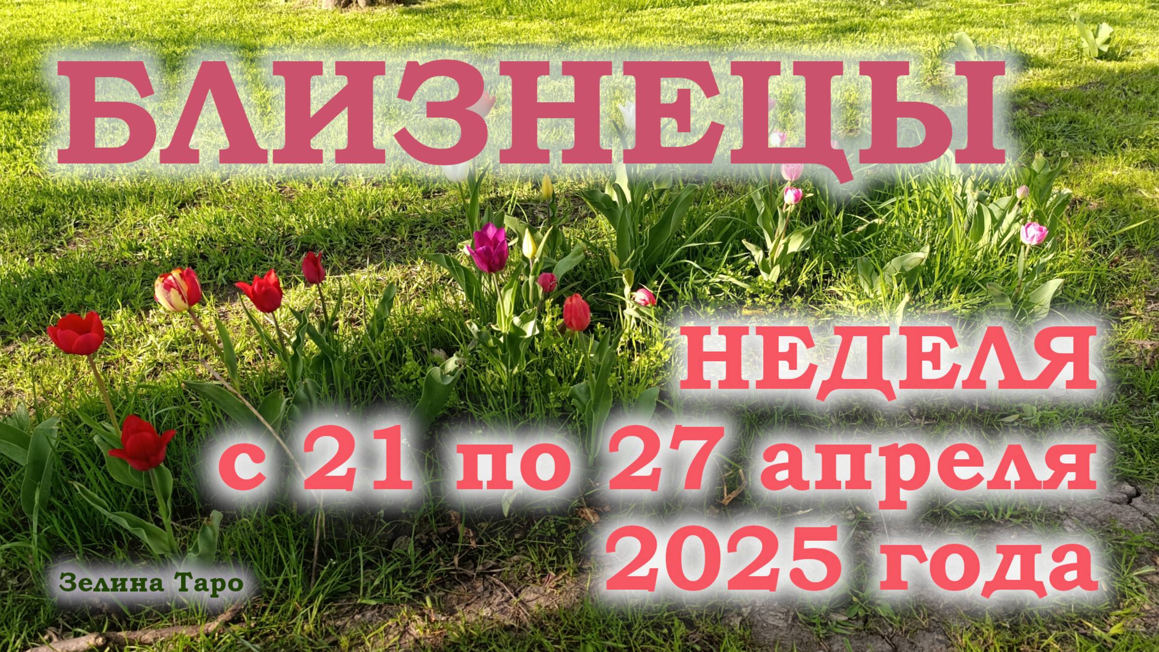 БЛИЗНЕЦЫ | ТАРО прогноз на неделю с 21 по 27 апреля 2025 года