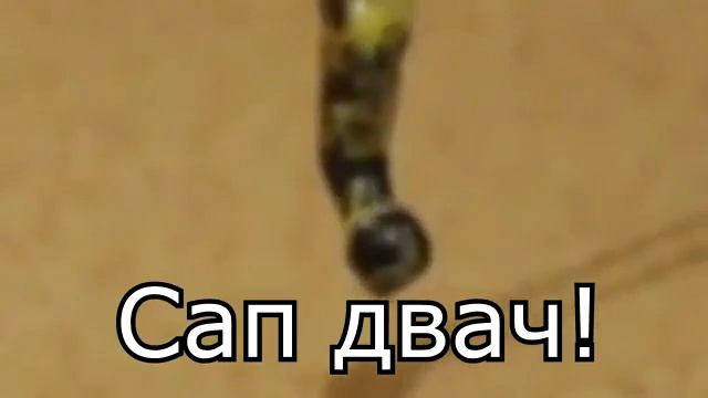Ламповый гомункул (Кавер версия) смотреть онлайн