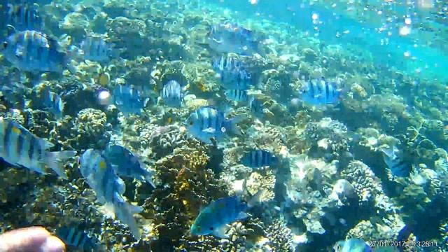 Запрещенное видео! Шок! Кормим 