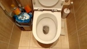 #энем вымыть #унитаз #соляная кислота в быту 100% 😊👍 до и после 20 02 2024т