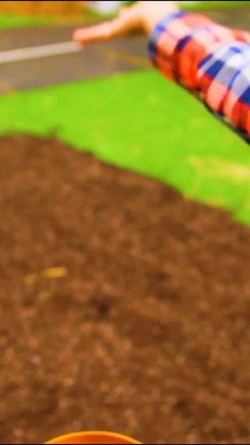 Kids exploring a vegetable garden🥕🌽 #Shorts смотреть онлайн