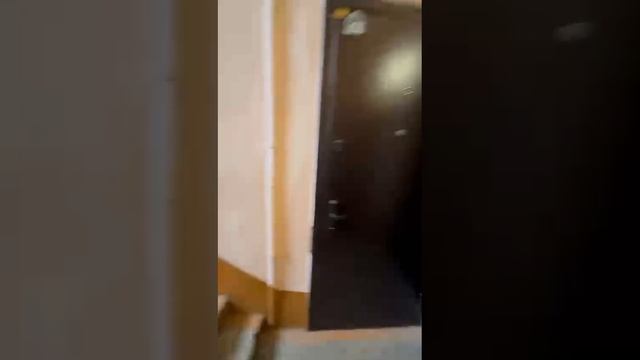 Видео WhatsApp 2025-04-20 в 17.33.59_3fd2e9af смотреть онлайн