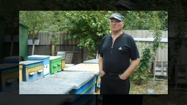 Как собрать гнездо пчел в зиму смотреть онлайн