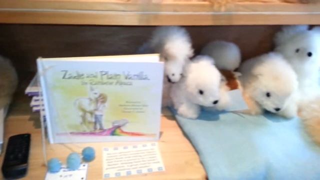 Our Alpaca Gift Shop- Fibers of Unity смотреть онлайн