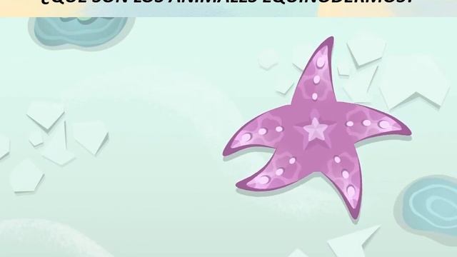 Anfibios Y Equinodermos