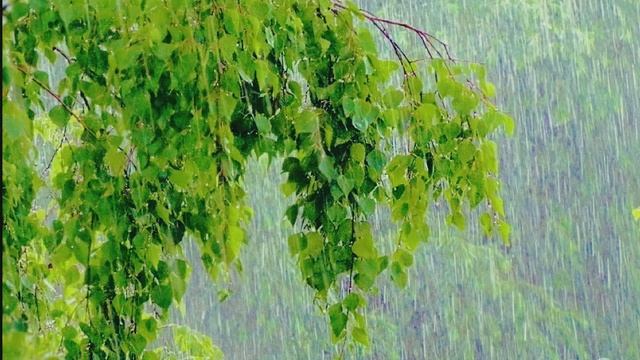 ШУМ ДОЖДЯ / The sound of rain смотреть онлайн