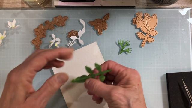 Spellbinders Jasmine & Letterbox By Susan Tierney-Cockburn How-To