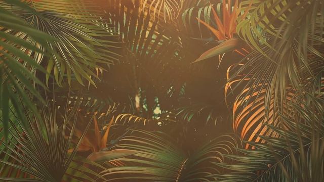 "Master of Disguise: Meet Jasper the Chameleon смотреть онлайн