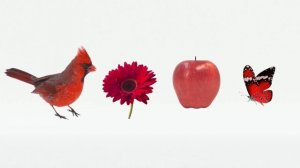 BabyRiki | Learn something new. Episodes about Colors | Cartoons for Kids | 0+