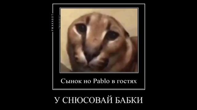 ТИК ТОК ЗАСКАМИЛ МАМОНТА
