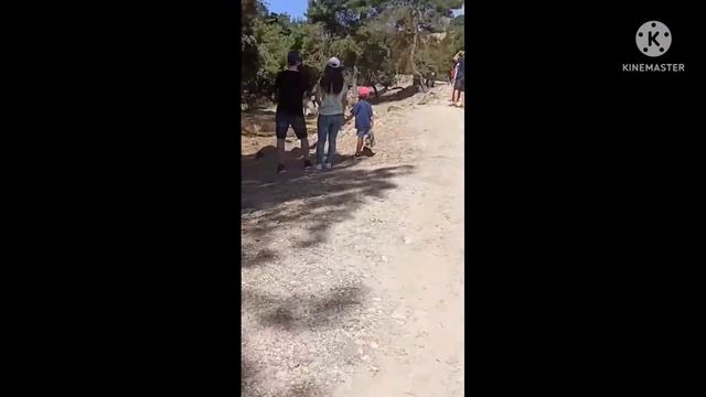 наш зоопарк буду ласка лайк