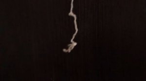 Видео для кошек. Нитка . Game for cats.Video for cats. 14