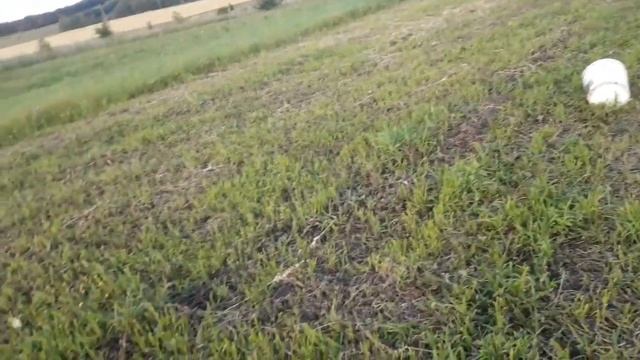 Выкопали чеснок. Цыплята вылупились. Все заросло смотреть онлайн