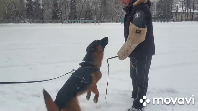 Эрбен Велт Штерн Пакрос (Napoli v. Bad-Boll + Senna v. Altenberger Land) смотреть онлайн