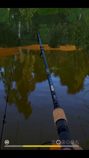 Секрет рыбалки в шапке профиля 🦈 Линь Ловля на фидер на озере Комариное #русскаярыбалка4 #RF4 смотреть онлайн