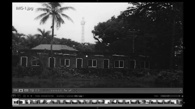 Kodak Ortho 80 | First Test Shoot & Impressions #analogphotography #filmphotography #35mm смотреть онлайн