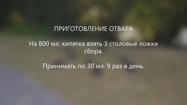 Сбор № 376. При злокачественных опухолях желудочно-кишечного тракта, пониженной кислотности и ... смотреть онлайн