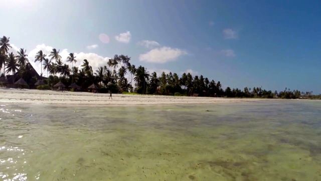 ZANZIBAR, TANZANIA • Beautiful Nature with Soothing Relaxing Music [4K] смотреть онлайн