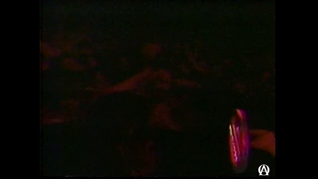 Cafe Tacuba - En vivo (Auditorio Coca Cola 1997) смотреть онлайн