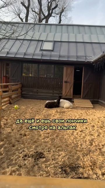 ПОНЧИКИ ЗА 10 РУБЛЕЙ В МОСКВЕ!!!