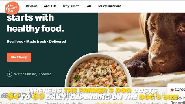 Freshpet vs The Farmer's Dog - Which dog food delivery service is better? (Watch Before You BUY!) смотреть онлайн