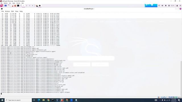 Installing Fleet Server And Elastic Agent On KaliPurple   130423