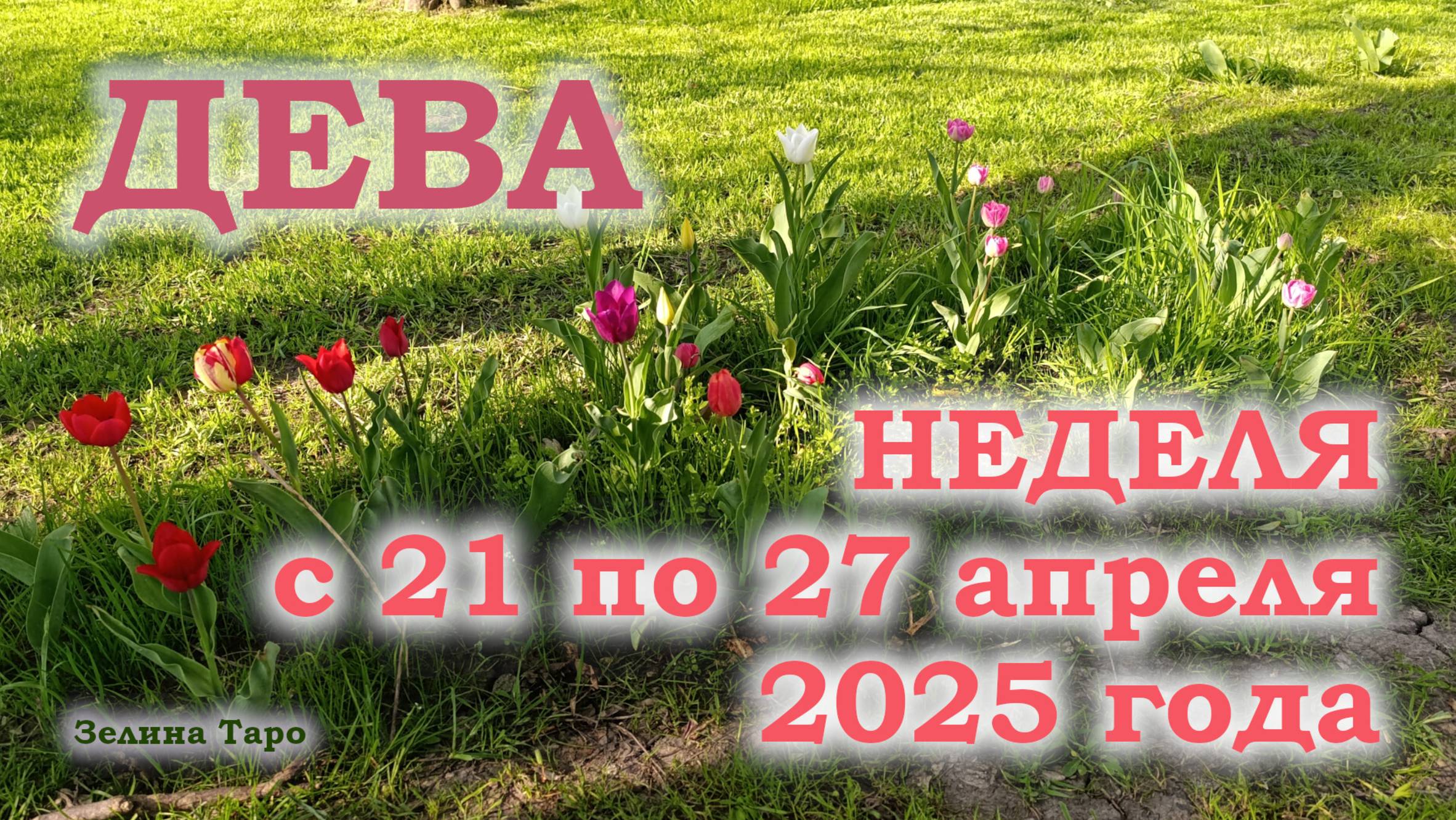ДЕВА | ТАРО прогноз на неделю с 21 по 27 апреля 2025 года