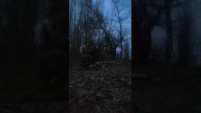 Звук манка SE-13 на белолобого гуся в полевых условиях смотреть онлайн