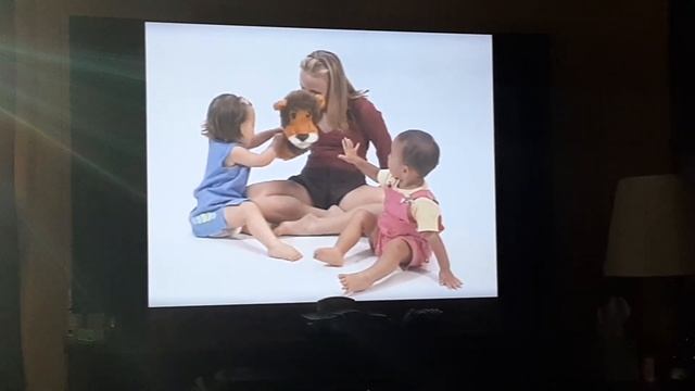 Opening To Bee Smart Baby Vocabulary Builder Vol. 2 2002 DVD смотреть онлайн